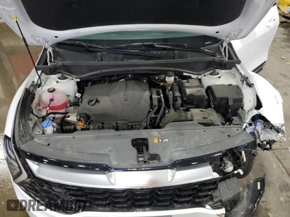 ✅ 2024 Kia Sportage SX-Prestige • VIN: 5XYK5CDF0RG174278 • Lot: 72051885. Wystawiony na Copart z przebiegiem 18 539 mil. Bezpłatny archiwum sprzedaży aukcyjnych z USA i szczegółowy raport historii pojazdu na DreamBid. Zdjęcie 12.