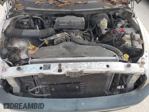 2001 Dodge 1500 с VIN 3B7HC13Y31M555587, выставлен на аукционе Copart как лот 80011284 с пробегом 216 612 миль миль и Списание • Salvage title. История ставок и продаж доступна на DreamBid. Изображение 11.