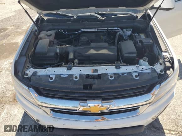 2019 Chevrolet Colorado 4WD LT with VIN 1GCHTCEA3K1315224, listed as a Copart auction lot 70250845 with 99,429 mi miles and Salvage title. Bid and sale history available at DreamBid. Image 11.