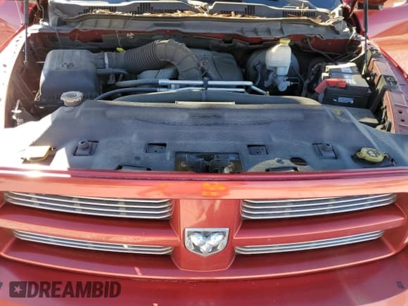 ✅ 2010 Dodge 1500 SLT • VIN: 1D7RB1CT7AS234080 • Lot: 87188914. Wystawiony na Copart z przebiegiem 178 459 mil. Bezpłatny archiwum sprzedaży aukcyjnych z USA i szczegółowy raport historii pojazdu na DreamBid. Zdjęcie 11.