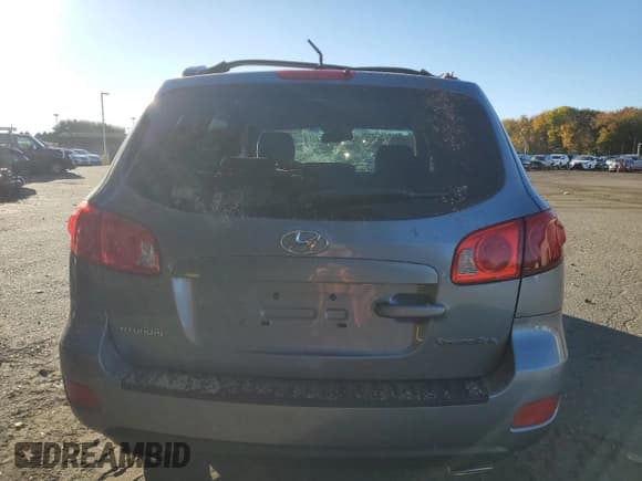 ✅ 2009 Hyundai Santa Fe SE • VIN: 5NMSH13EX9H305047 • Lot: 86798305. Listed on Copart with 115,748 mi. Free auction sales archive from the USA and detailed vehicle history report at DreamBid. Image 6.