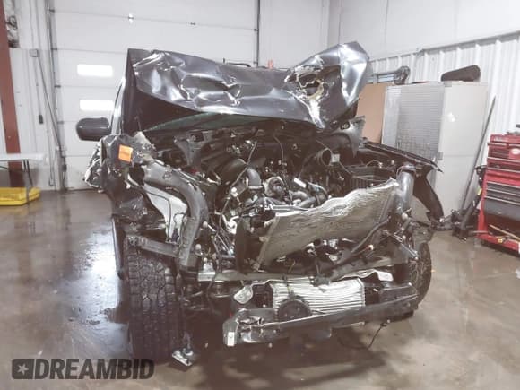 ✅ 2024 Ford Expedition XLT • VIN: 1FMJU1J89REA03381 • Лот: 41598607. Опубликован ранее на IAAI с пробегом 25 123 миль. Бесплатный доступ к архиву аукционных продаж из США и подробный отчёт об истории автомобиля на DreamBid. Изображение 6.