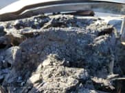 ✅ 2006 Chevrolet Silverado 1500 LT1 • VIN: 1GCEK14Z76Z135026 • Лот: 44262255. Опубликован ранее на Copart с пробегом Не указан. Бесплатный доступ к архиву аукционных продаж из США и подробный отчёт об истории автомобиля на DreamBid. Изображение 9.