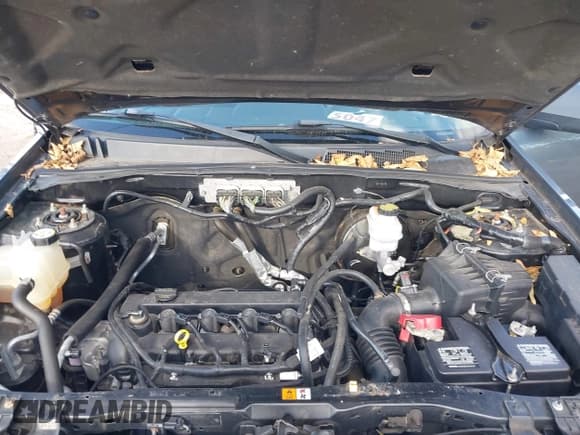 ✅ 2010 Ford Escape XLT • VIN: 1FMCU9D72AKC30136 • Лот: 43570433. Опубликован ранее на IAAI с пробегом 109 368 миль. Бесплатный доступ к архиву аукционных продаж из США и подробный отчёт об истории автомобиля на DreamBid. Изображение 10.