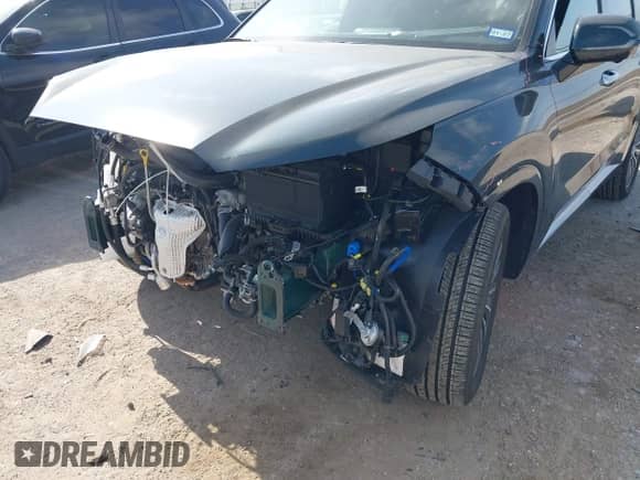 2025 Hyundai Palisade Calligraphy with VIN KM8R74GE6SU856907, listed as a IAAI auction lot 42065127 with 5,184 mi miles and . Bid and sale history available at DreamBid. Image 17.