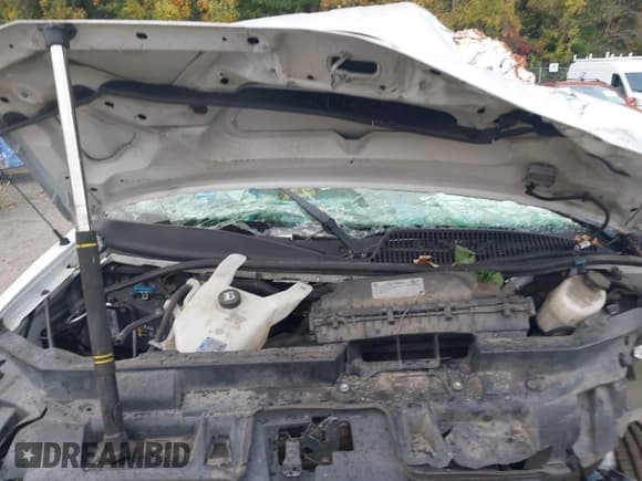 ✅ 2019 Chevrolet Express Cargo • VIN: 1GCWGBFP3K1141860 • Лот: 43549254. Опубликован ранее на IAAI с пробегом 208 271 миль. Бесплатный доступ к архиву аукционных продаж из США и подробный отчёт об истории автомобиля на DreamBid. Изображение 10.