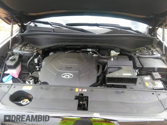 ✅ 2025 Hyundai Palisade Limited • VIN: KM8R54GE0SU894879 • Лот: 42312429. Размещён на IAAI с пробегом 791 миль миль. Получите бесплатный доступ к архиву аукционных продаж из США и посмотрите подробный отчёт об истории автомобиля на DreamBid. Изображение 10.