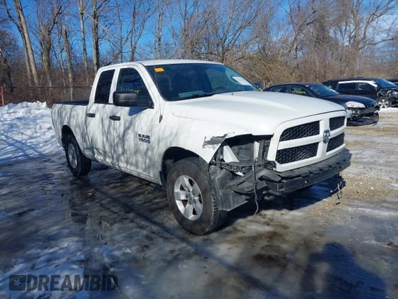 ✅ 2017 Ram 1500 Express • VIN: 1C6RR7FG2HS852044 • Lot: 41427405. Wystawiony na IAAI z przebiegiem 102 495 mil. Bezpłatny archiwum sprzedaży aukcyjnych z USA i szczegółowy raport historii pojazdu na DreamBid. Zdjęcie 1.