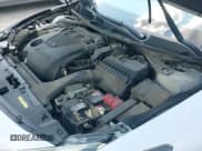 ✅ 2017 Nissan Maxima SR • VIN: 1N4AA6AP3HC440827 • Лот: 43051409. Опубликован ранее на IAAI с пробегом 61 377 миль. Бесплатный доступ к архиву аукционных продаж из США и подробный отчёт об истории автомобиля на DreamBid. Изображение 19.