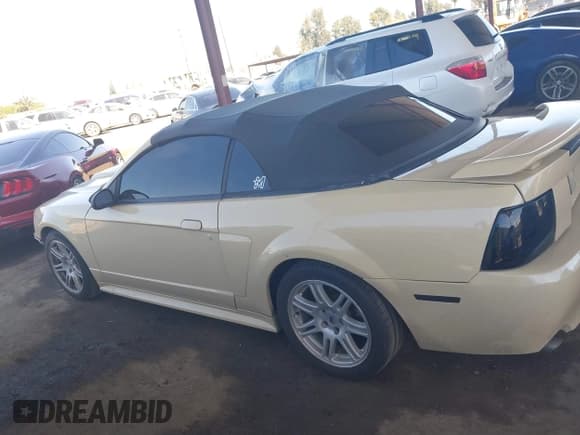 ✅ 2001 Ford Mustang GT Deluxe • VIN: 1FAFP45X81F103741 • Лот: 41880838. Опубликован ранее на IAAI с пробегом 171 092 миль. Бесплатный доступ к архиву аукционных продаж из США и подробный отчёт об истории автомобиля на DreamBid. Изображение 14.