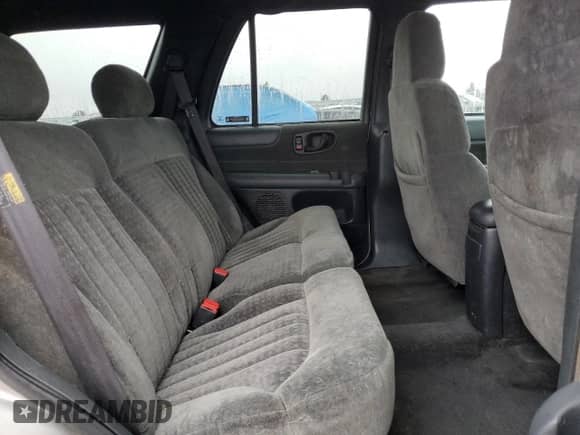 2002 Chevrolet Blazer LS z VIN 1GNDT13W02K155161, wystawiony jako Copart lot #80033774 z przebiegiem 145 425 mil mil oraz Szkoda całkowita • Salvage title. Historia ofert i sprzedaży dostępna na DreamBid. Obrazek 11.