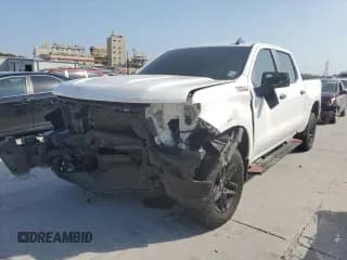 ✅ 2019 Chevrolet Silverado 1500 LT Trail Boss • VIN: 1GCPYFED3KZ136837 • Lot: 65928704. Wystawiony na Copart z przebiegiem 118 467 mil. Bezpłatny archiwum sprzedaży aukcyjnych z USA i szczegółowy raport historii pojazdu na DreamBid. Zdjęcie 1.