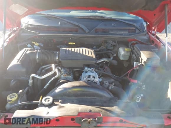 ✅ 2006 Dodge Dakota SLT • VIN: 1D7HW48N26S507395 • Lot: 43686347. Wystawiony na IAAI z przebiegiem 249 349 mil. Bezpłatny archiwum sprzedaży aukcyjnych z USA i szczegółowy raport historii pojazdu na DreamBid. Zdjęcie 10.