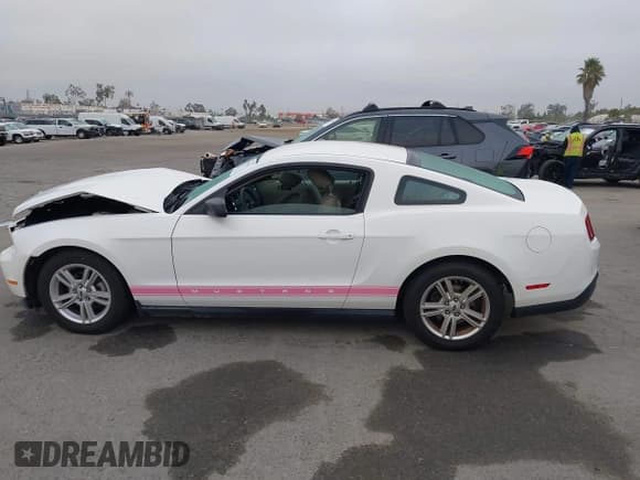 ✅ 2010 Ford Mustang V6 • VIN: 1ZVBP8AN5A5146148 • Lot: 43361975. Listed on IAAI with 91,063 mi. Free auction sales archive from the USA and detailed vehicle history report at DreamBid. Image 15.
