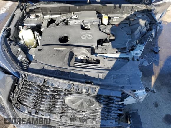 ✅ 2024 Infiniti QX50 Sport • VIN: 3PCAJ5FB7RF112414 • Lot: 42352175. Wystawiony na Copart z przebiegiem Nie podano. Bezpłatny archiwum sprzedaży aukcyjnych z USA i szczegółowy raport historii pojazdu na DreamBid. Zdjęcie 12.