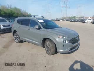 2021 Hyundai Santa Fe Calligraphy with VIN 5NMS5DAL8MH370726, listed as a IAAI auction lot 42099412 with 56,273 mi miles and . Bid and sale history available at DreamBid. Image 1.