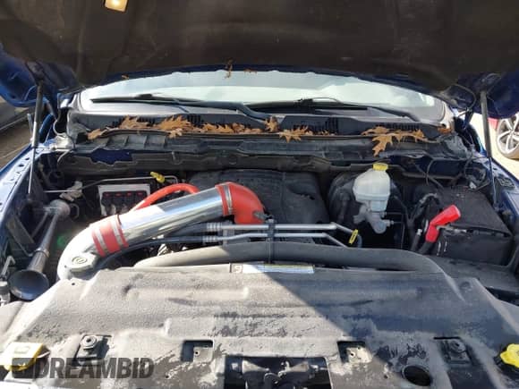 2010 Dodge 1500 Sport с VIN 1D7RV1CT5AS104029, выставлен на аукционе IAAI как лот 42203779 с пробегом 147 266 миль миль и . История ставок и продаж доступна на DreamBid. Изображение 10.