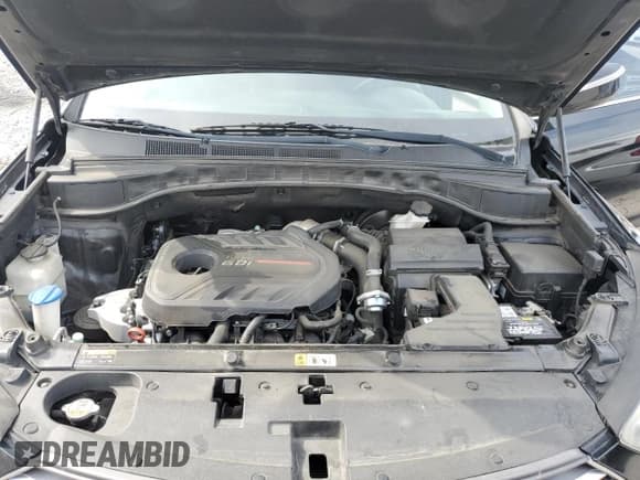 ✅ 2017 Hyundai Santa Fe Ultimate • VIN: 5NMZW4LA1HH046384 • Lot: 54149965. Listed on Copart with 124,093 mi. Free auction sales archive from the USA and detailed vehicle history report at DreamBid. Image 12.