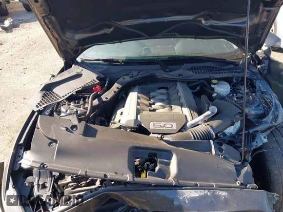 ✅ 2017 Ford Mustang GT • VIN: 1FA6P8CF5H5275825 • Lot: 42017878. Listed on IAAI with 26,917 mi. Free auction sales archive from the USA and detailed vehicle history report at DreamBid. Image 10.