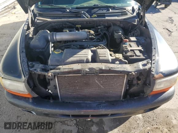 ✅ 2000 Dodge Dakota Sport • VIN: 1B7GG22N7YS631407 • Lot: 68142074. Wystawiony na Copart z przebiegiem 276 475 mil. Bezpłatny archiwum sprzedaży aukcyjnych z USA i szczegółowy raport historii pojazdu na DreamBid. Zdjęcie 11.