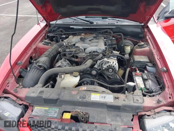 ✅ 2004 Ford Mustang Deluxe • VIN: 1FAFP44654F229021 • Лот: 42300126. Опубликован ранее на IAAI с пробегом 94 072 миль. Бесплатный доступ к архиву аукционных продаж из США и подробный отчёт об истории автомобиля на DreamBid. Изображение 10.