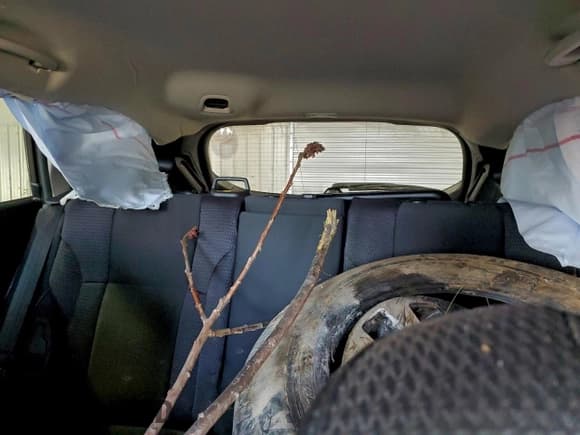 ✅ 2025 Subaru Outback Premium • VIN: 4S4BTADC4S3213931 • Lot: 94677355. Wystawiony na Copart z przebiegiem Nie podano. Bezpłatny archiwum sprzedaży aukcyjnych z USA i szczegółowy raport historii pojazdu na DreamBid. Zdjęcie 10.