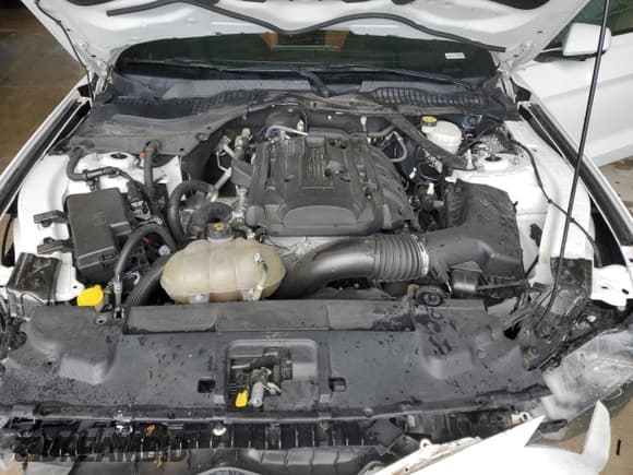 ✅ 2020 Ford Mustang EcoBoost • VIN: 1FATP8UH7L5106076 • Lot: 63852305. Listed on Copart with 99,760 mi. Free auction sales archive from the USA and detailed vehicle history report at DreamBid. Image 11.