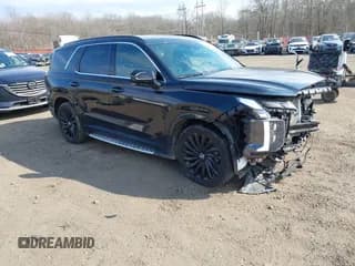 ✅ 2024 Hyundai Palisade Calligraphy • VIN: KM8R7DGE6RU666308 • Lot: 41690544. Listed on IAAI with 21,352 mi. Free auction sales archive from the USA and detailed vehicle history report at DreamBid. Image 1.