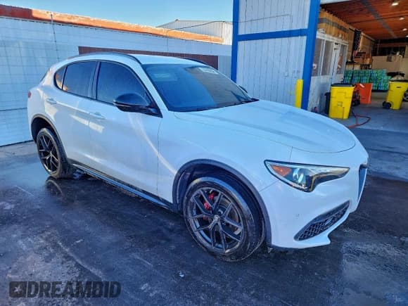 ✅ 2020 Alfa Romeo Stelvio • VIN: ZASPAJAN5L7C86121 • Лот: 92937675. Опубликован ранее на Copart с пробегом 89 143 миль. Бесплатный доступ к архиву аукционных продаж из США и подробный отчёт об истории автомобиля на DreamBid. Изображение 4.