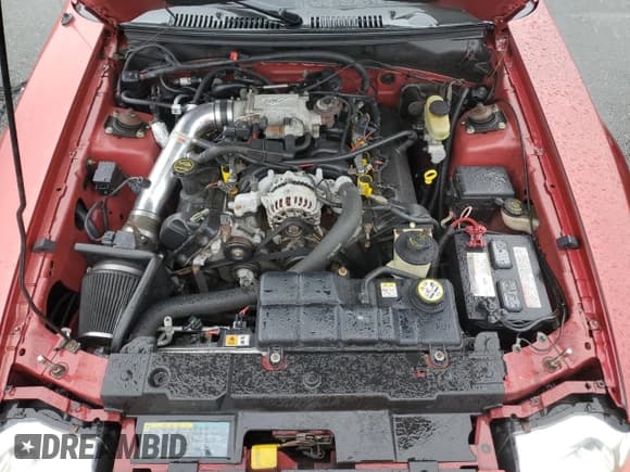 ✅ 2001 Ford Mustang GT Deluxe • VIN: 1FAFP45X71F258331 • Lot: 49202495. Listed on Copart with 136,968 mi. Free auction sales archive from the USA and detailed vehicle history report at DreamBid. Image 11.