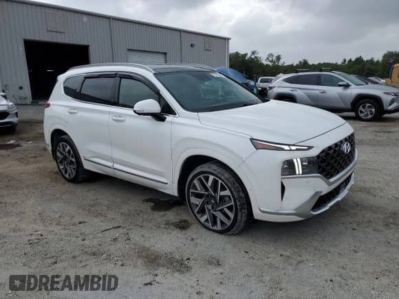 ✅ 2023 Hyundai Santa Fe Calligraphy • VIN: 5NMS54AL6PH552607 • Lot: 71890895. Listed on Copart with 14,924 mi. Free auction sales archive from the USA and detailed vehicle history report at DreamBid. Image 4.