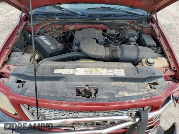 ✅ 1999 Ford F-150 • VIN: 1FTRX07W0XKB97103 • Lot: 65051225. Listed on Copart with 236,455 mi. Free auction sales archive from the USA and detailed vehicle history report at DreamBid. Image 11.
