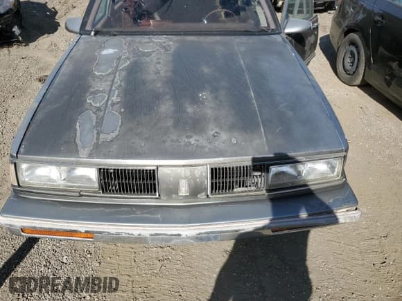 ✅ 1989 Oldsmobile Delta • VIN: 1G3HY54C1KW337516 • Lot: 69937695. Wystawiony na Copart z przebiegiem 235 493 mil. Bezpłatny archiwum sprzedaży aukcyjnych z USA i szczegółowy raport historii pojazdu na DreamBid. Zdjęcie 11.