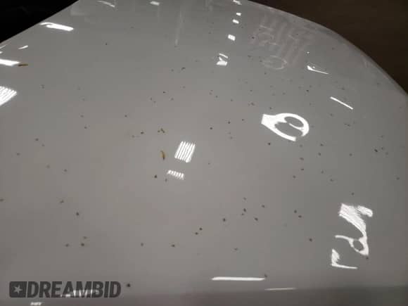 2014 Chevrolet Captiva Sport LS with VIN 3GNAL2EK6ES626922, listed as a Copart auction lot 53092604 with 100,690 mi miles and Non repairable. Bid and sale history available at DreamBid. Image 13.