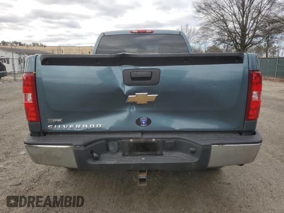✅ 2009 Chevrolet Silverado 1500 Work Truck • VIN: 1GCEK19089Z123806 • Lot: 47394215. Listed on Copart with 120,715 mi. Free auction sales archive from the USA and detailed vehicle history report at DreamBid. Image 6.