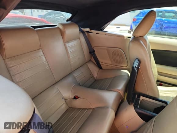 ✅ 2009 Ford Mustang GT • VIN: 1ZVHT85H795109897 • Lot: 64813875. Wystawiony na Copart z przebiegiem 97 313 mil. Bezpłatny archiwum sprzedaży aukcyjnych z USA i szczegółowy raport historii pojazdu na DreamBid. Zdjęcie 10.