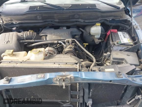 ✅ 2005 Dodge 1500 SLT • VIN: 1D7HA18D75S172461 • Lot: 43668351. Wystawiony na IAAI z przebiegiem 339 972 mil. Bezpłatny archiwum sprzedaży aukcyjnych z USA i szczegółowy raport historii pojazdu na DreamBid. Zdjęcie 10.