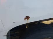 ✅ 2008 Chevrolet Silverado 1500 Work Truck • VIN: 1GCEC14X38Z119484 • Lot: 43679570. Listed on IAAI with 282,782 mi. Free auction sales archive from the USA and detailed vehicle history report at DreamBid. Image 14.