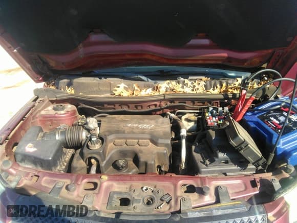 ✅ 2007 Chevrolet Equinox LS • VIN: 2CNDL13F676241153 • Lot: 42467385. Listed on IAAI with 213,729 mi. Free auction sales archive from the USA and detailed vehicle history report at DreamBid. Image 10.