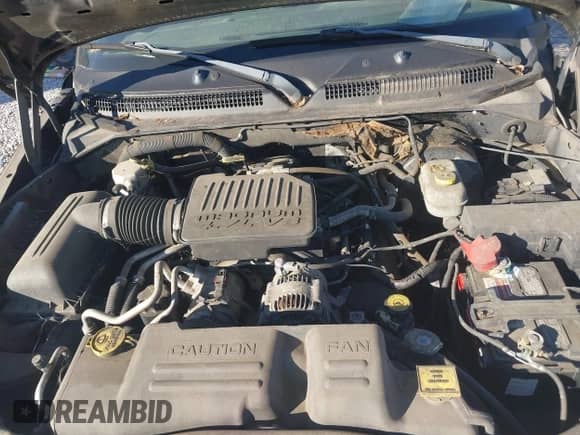 ✅ 2004 Dodge Dakota Sport • VIN: 1D7HL38N14S789626 • Лот: 43629752. Размещён на IAAI с пробегом 233 208 миль миль. Получите бесплатный доступ к архиву аукционных продаж из США и посмотрите подробный отчёт об истории автомобиля на DreamBid. Изображение 10.