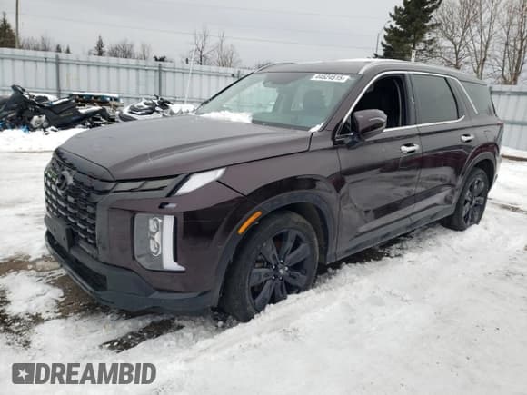 ✅ 2023 Hyundai Palisade XRT • VIN: KM8R3DGE2PU632911 • Лот: 44524515. Опубликован ранее на Copart с пробегом 51 253 миль. Бесплатный доступ к архиву аукционных продаж из США и подробный отчёт об истории автомобиля на DreamBid. Изображение 1.