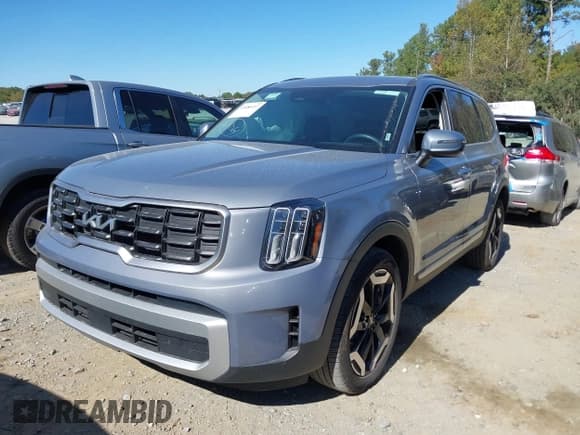 ✅ 2025 Kia Telluride S • VIN: 5XYP6DGC7SG589792 • Lot: 43486497. Listed on IAAI with 22,914 mi. Free auction sales archive from the USA and detailed vehicle history report at DreamBid. Image 17.