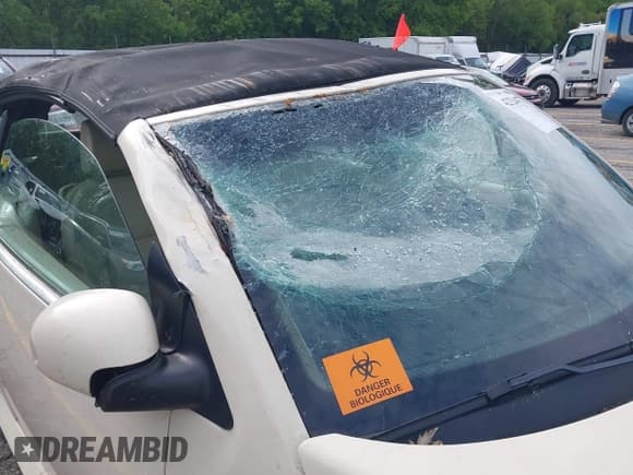 ✅ 2009 Volkswagen Beetle S • VIN: 3VWRF31Y49M400081 • Lot: 42326477. Listed on IAAI with 186,484 mi. Free auction sales archive from the USA and detailed vehicle history report at DreamBid. Image 6.