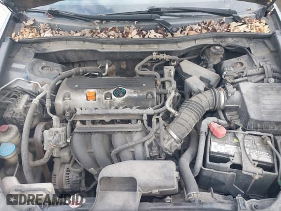 ✅ 2009 Honda Accord LX-P • VIN: 1HGCP26489A187849 • Lot: 43781190. Listed on IAAI with Not provided. Free auction sales archive from the USA and detailed vehicle history report at DreamBid. Image 10.