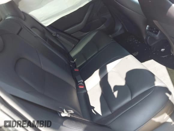 ✅ 2019 Tesla Model 3 Mid Range • VIN: 5YJ3E1EA2KF395261 • Lot: 43400329. Listed on IAAI with 113,981 mi. Free auction sales archive from the USA and detailed vehicle history report at DreamBid. Image 8.