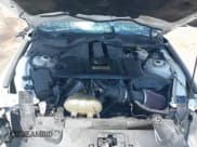 ✅ 2021 Ford Mustang GT • VIN: 1FA6P8CF8M5152823 • Lot: 42748118. Listed on IAAI with Not provided. Free auction sales archive from the USA and detailed vehicle history report at DreamBid. Image 10.