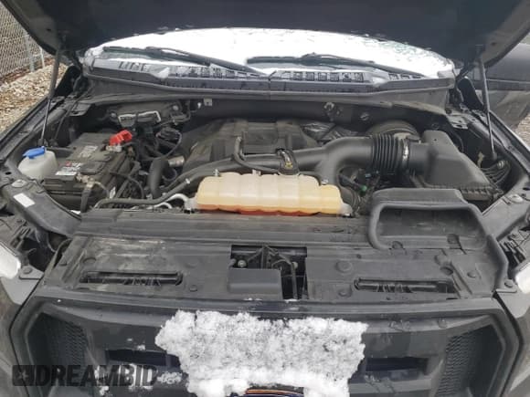 ✅ 2017 Ford F-150 XL • VIN: 1FTMF1CP0HFC86391 • Lot: 85509444. Wystawiony na Copart z przebiegiem 69 218 mil. Bezpłatny archiwum sprzedaży aukcyjnych z USA i szczegółowy raport historii pojazdu na DreamBid. Zdjęcie 11.