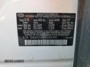 ✅ 2019 Hyundai Santa Fe Limited • VIN: 5NMS53AA5KH031492 • Lot: 68371854. Wystawiony na Copart z przebiegiem 166 115 mil. Bezpłatny archiwum sprzedaży aukcyjnych z USA i szczegółowy raport historii pojazdu na DreamBid. Zdjęcie 14.