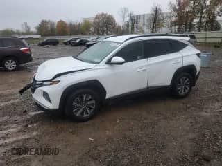 2024 Hyundai Tucson Blue with VIN KM8JBCD13RU195077, listed as a Copart auction lot 82381285 with 20,867 mi miles and Salvage title. Bid and sale history available at DreamBid. Image 1.