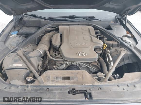 ✅ 2015 Hyundai Genesis 3.8L • VIN: KMHGN4JE5FU061570 • Lot: 41461918. Wystawiony na IAAI z przebiegiem 261 582 mil. Bezpłatny archiwum sprzedaży aukcyjnych z USA i szczegółowy raport historii pojazdu na DreamBid. Zdjęcie 10.